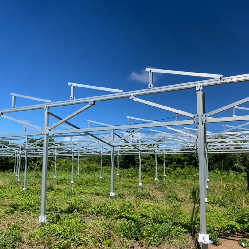ဆိုလာခြံများ- အစိမ်းရောင်စွမ်းအင်၏ အနာဂတ်ကြယ်များ